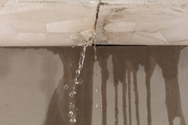 Professional Structural Drying technician working in Humble, TX